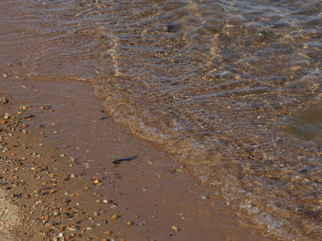 A photo captures the sea water gently touching the edge of the seashore.