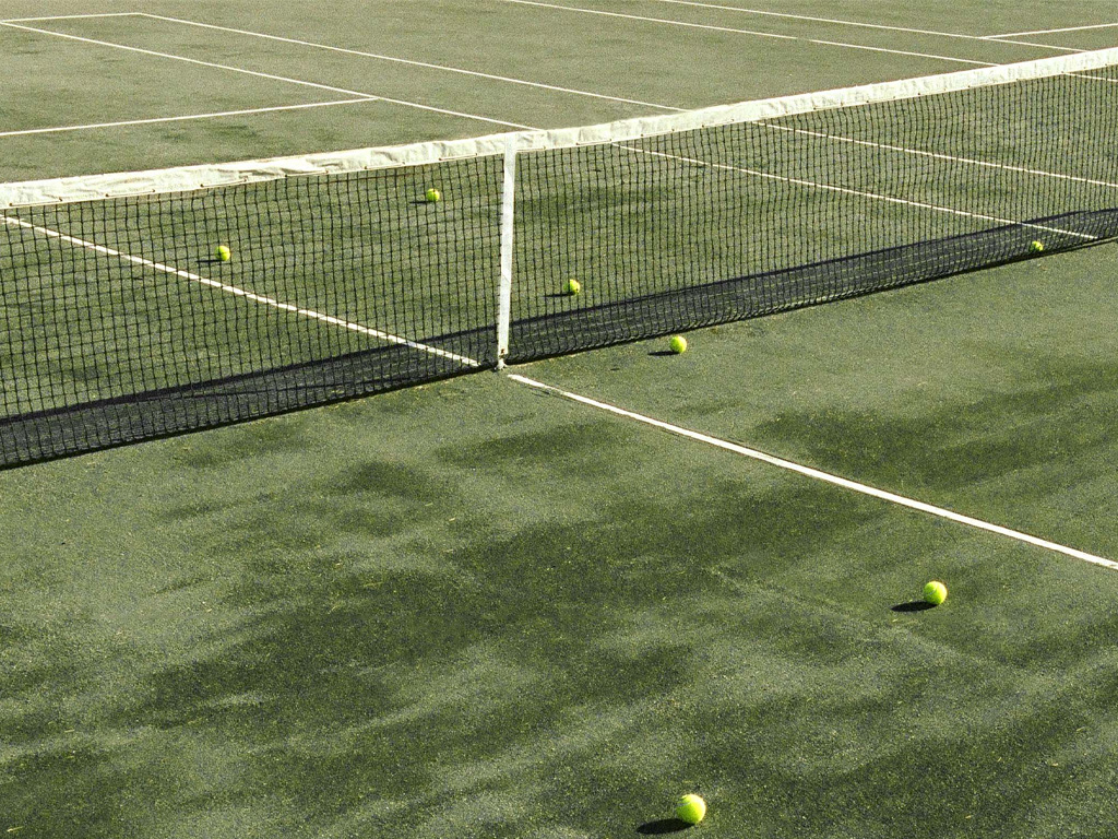 A tennis court with a net and tennis ball lying on the grassy ground.