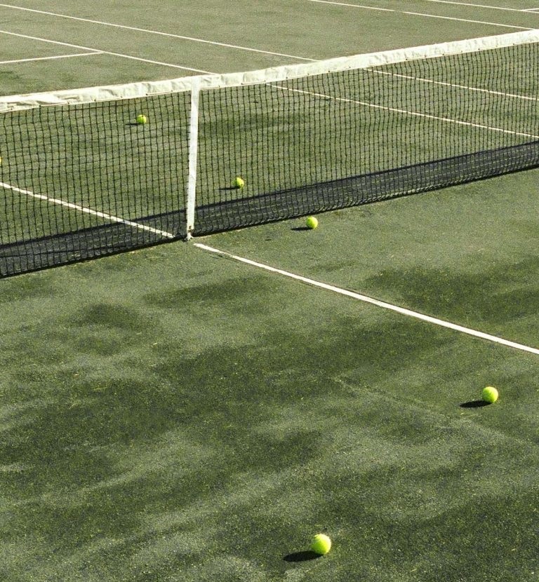 On the grassy court, a tennis net and ball are positioned for play.
