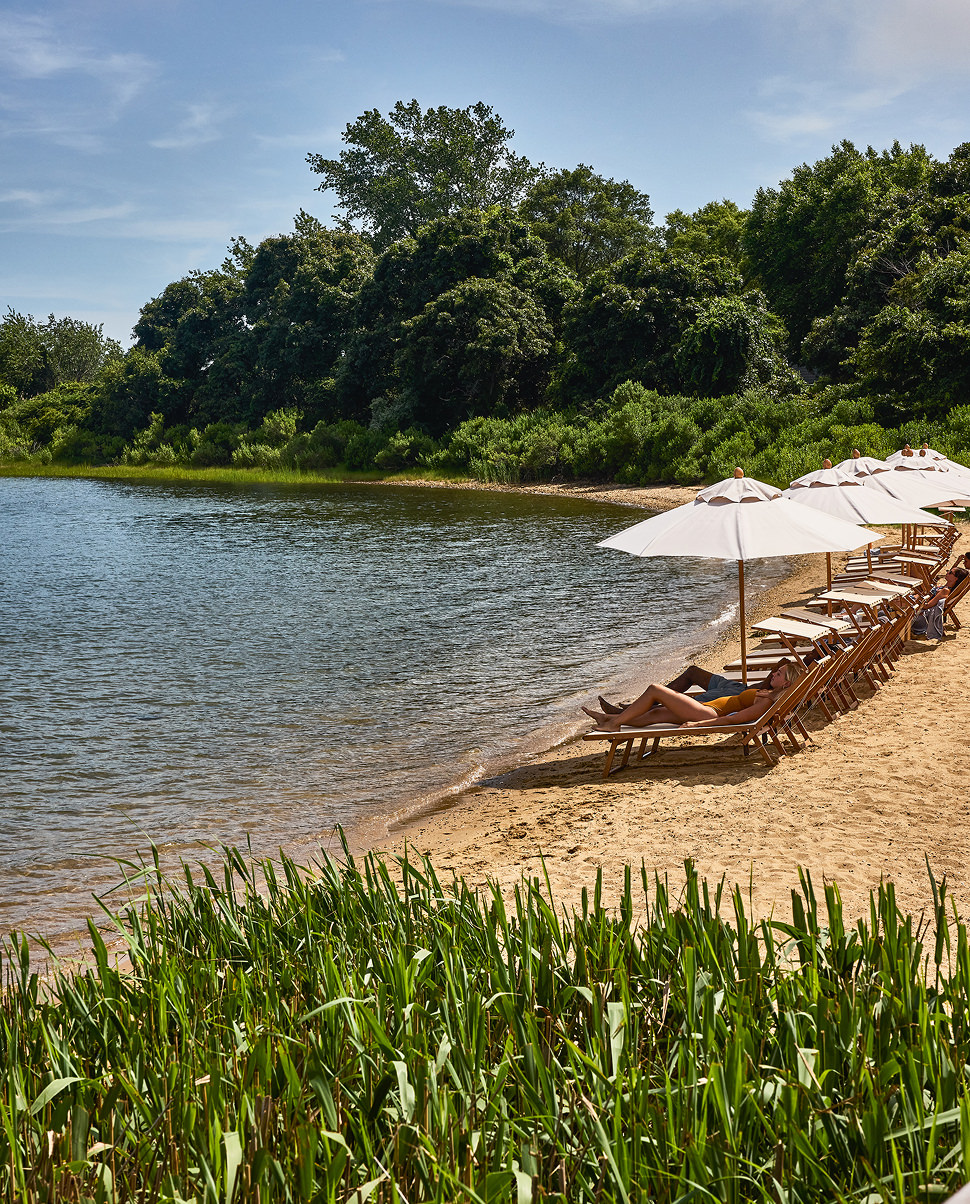 serene-beach-and-lakefront-area